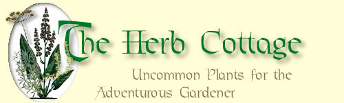 herbcottage.jpg (48805 bytes)