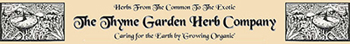 thymegarden.jpg (45372 bytes)