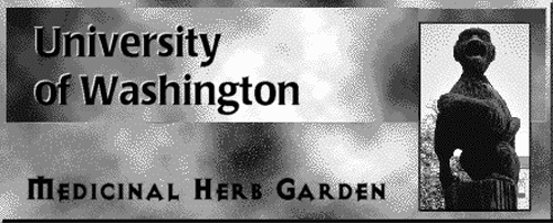 uw.jpg (84658 bytes)